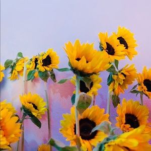 Meet your Posher, Ian